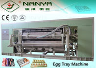 Kalıp Hamuru Yumurta Tepsisi Yapma Makinesi Meyve Tepsisi Üretim Hattı Tek Katmanlı