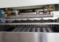 Kalıplama Hamuru Sofra Yapma Makinesi Bakire Kağıt Tabak Yapma Makinesi