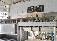 Kolay Kullanım Ecowares Üretim Hattı için Kalıplı Selüloz Kağıt Tabak Yapma Makinesi