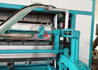 Yüksek Otomasyon Döner Yumurta Tepsisi Şekillendirme Makinesi / Yumurta Kartonu Üretim Hattı