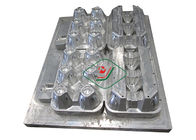 CNC İşlemli Alüminyum 12 Koltuklu Pulp Kalıp / Kalıplı Pulp Yumurta Kartonları