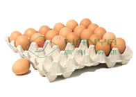 100kw Yumurta Tepsisi Üretim Hattı