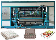 Kararlı Otomatik Kağıt Hamuru Kalıplı Yumurta Tepsisi Makinesi 5000pcs / H