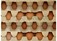 PLC 70mm 30 Delikli Yumurta Kutusu Hamuru Kalıplama Ekipmanları