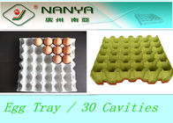 Biyobozunur Hamuru Kalıplı Ürünler 30 Boşluklu Tek Kullanımlık Yumurta Tepsisi