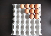 Biyobozunur Hamuru Kalıplı Ürünler 30 Boşluklu Tek Kullanımlık Yumurta Tepsisi