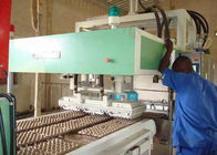 Atık Kağıt Hamuru Tepsi Makinesi 2000Pcs / H, Profesyonel Yumurta Tepsisi Üretim Makinesi