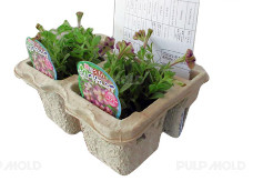 Endüstriyel paket için çift plaka döngüsü tipi kağıt pulp kalıplama makinesi