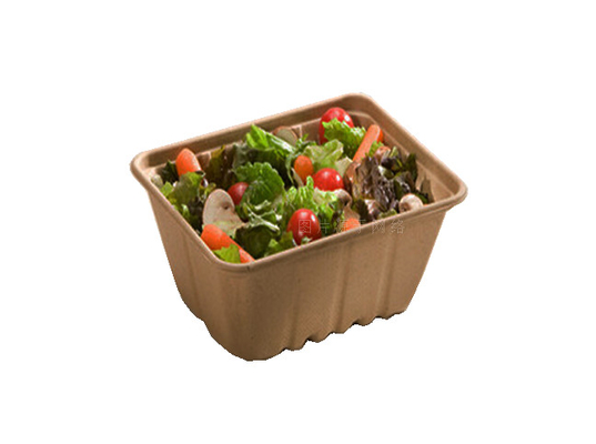 Fast Food Kutusu / Tek Kullanımlık Sofra Yapma Makinesi Kalıp 7000Pcs / H Kurutma