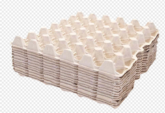 2400Pcs / H ile Kağıt Hamuru Kalıplı Pistonlu Tip Yumurta Kutusu Makinesi