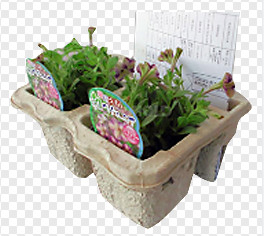 Tek Katmanlı Kurutma Hattı 2800PCS / H ile Kağıt Kalıp Hamuru Yumurta Karton Makineleri