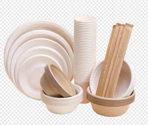 Tamamen Otomatik Pulp Plate Yapma Makinesi