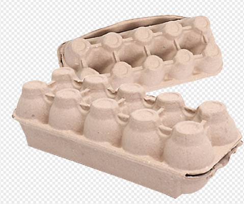 2400Pcs / H ile Kağıt Hamuru Kalıplı Pistonlu Tip Yumurta Kutusu Makinesi