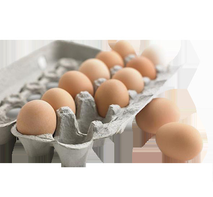 Atık Kağıt Tam Otomatik Döner Tip Yumurta Tepsisi Şekillendirme Makineleri / 5000pcs / h