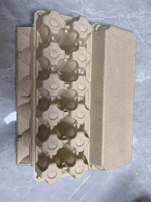 Tamamen Otomatik Hamur Yumurta Kutu/Tepsi Makinesi/ Seri üretim Yumurta Kutu üretim hattı