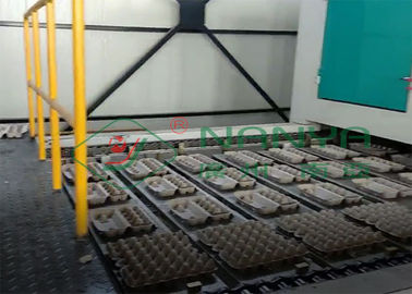 Yumurta Tepsisi / Yumurta Karton / Tohumlama Kupası Üretim Hattı İçin Tam Otomatik Kalıplı Tepsi Yapma Makinesi