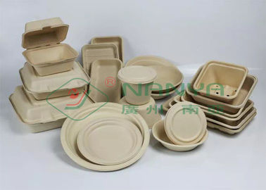 Vietnam ve Hindistan'da Pulp Molding Masa Ürünleri Üretim Hatı