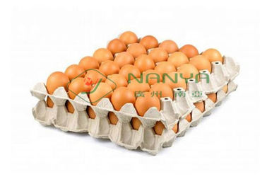 Enerji Tasarruflu Otomatik Döner Yumurta Tepsisi Makinesi, Altı Katmanlı Kurutma Hatları 6000pcs / h