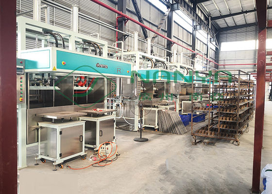 Kağıt Hamuru Kalıplama Şok Korumalı Paket Endüstriyel Tepsi Yapma Makinesi