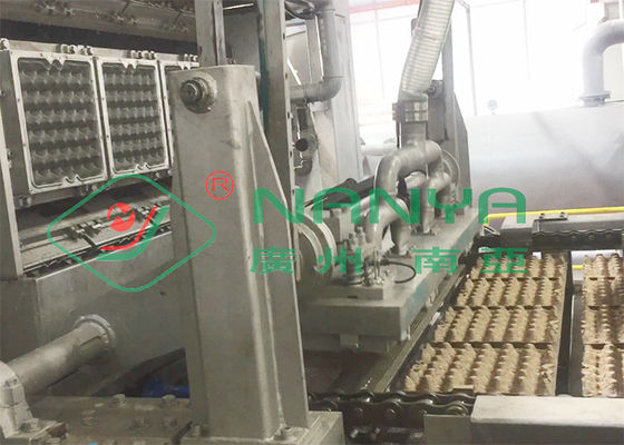 6000 adet / saat Otomatik Döner Yumurta Tepsisi / Yumurta Kutusu Kalıplama Ekipmanı