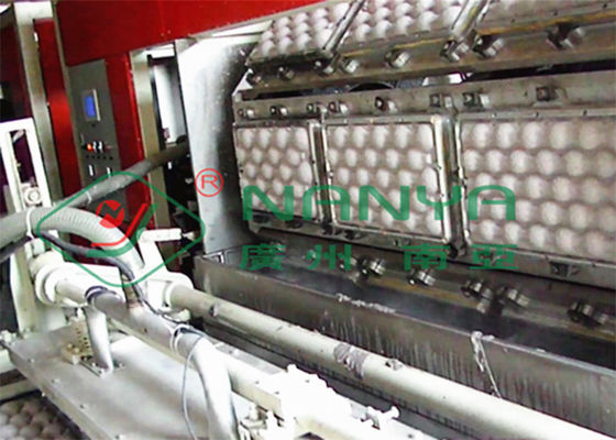 250kw Meyve Tepsileri Yumurta Tepsisi Yapma Makinesi Vakum Emme 600m2