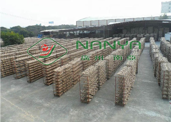 Güneşte Kurutmalı Yarı Otomatik Geri Dönüşüm Hamuru Tepsi Makinesi / 1200pcs / H