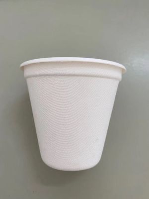 Otomatik Bambu Hamuru Kağıt Tabak Üretim Makinesi