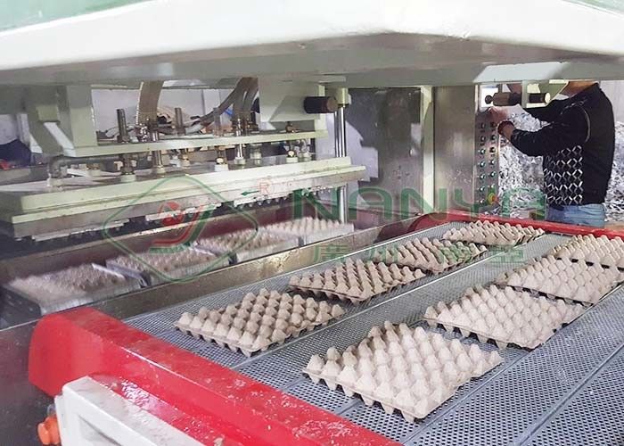 Tek kullanımlık beyaz kağıt şekillendirilmiş karpuz yumurta kartonu / 90 boşluklu yumurta tepsisi için morluk kalıplama makinesi