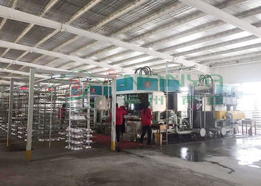 Kalıplı fiber darbeye dayanıklı paket üretim hattı Hamuru Tepsi Makinesi