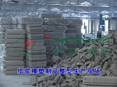 Pulp Forming Sıcak Baskı Makinesi