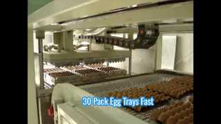 Yumurta tepsisi için Küçük Otomatik Kağıt Hamuru Kalıplama Makinesi / Küçük Yumurta Tepsisi Makinesi / 30 Paketli Yumurta Tepsisi Makinesi