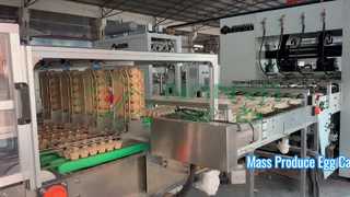 Tam Otomatik Yumurta Karton Yapma Makinesi / Seri Üretim Yumurta Tepsisi / Karton Yapma Makinesi
